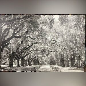 A very large black and white canvas picture